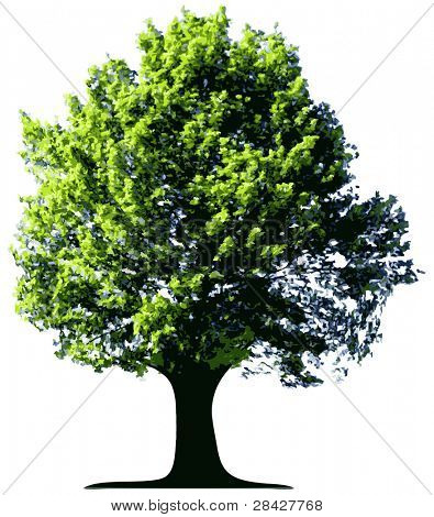 Vector tree