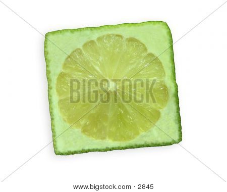 Square Lime!