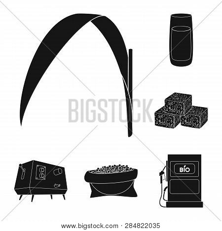 Vector Design Of Sucrose And Technology Symbol. Set Of Sucrose And Cane Vector Icon For Stock.