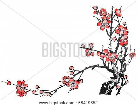 Chinese painting of flowers, plum blossom, on white background.