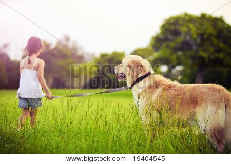 Ung pige med golden retriever gå væk ind i solen