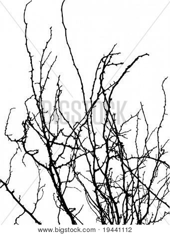 tree branches vector silhouette