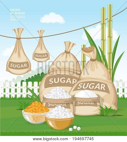 Vector cartoon illustration. Different burlap sacks of sugar in the garden. White and brown sugar cubes in bowls on fresh green grass