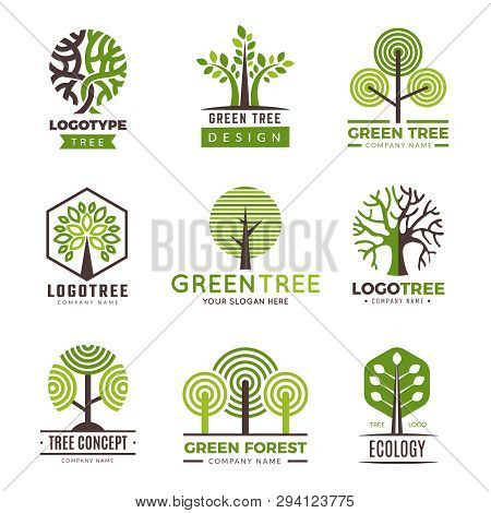 Tree Logotypes. Eco Green Symbols Wood Stylized Trees Plants Vector Logo. Illustration Of Eco Wood T