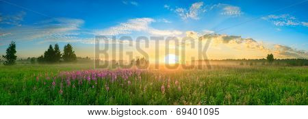 Landscape With The Sunrise, A Blossoming Meadow  Panorama