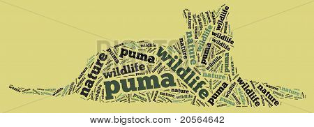 Wordcloud puma