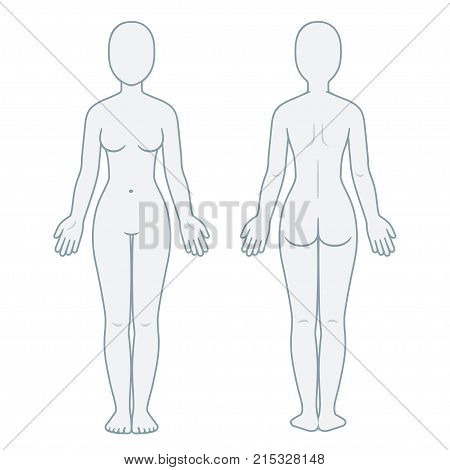 Nude female body front and back view. Blank woman body template for medical infographic. Isolated vector illustration.