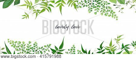 Tropical Forest Greenery Leaves, Branches, Jasmine Vine, Forest Fern, Herbs Natural Border, Frame, B