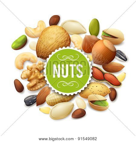 Nut Collection Illustration