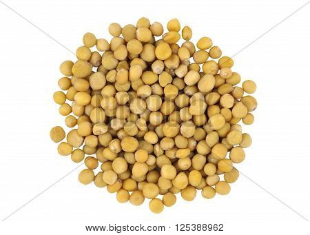 Yellow Mustard seeds also called White Mustard Sinapis Alba Brassica Alba or Brassica Hirta and also used as a cooking ingredient.