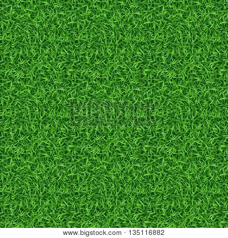 Seamless green grass vector pattern. Grass pattern, lawn grass, green grass nature illustration