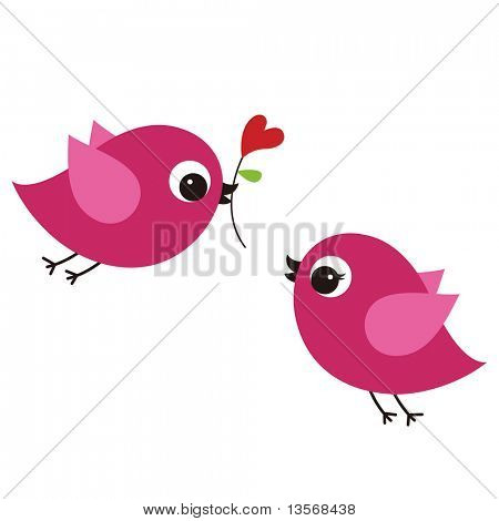 birds with love