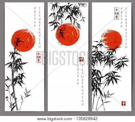 Three banners with red sun and bamboo trees. Vector illustration. Traditional Japanese ink painting sumi-e. Contains hieroglyphs - eternity, freedom, happiness