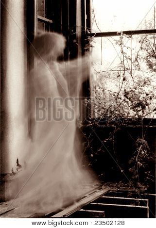 Ghost At The Window (tint)