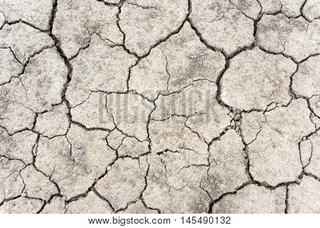 Crack soil on dry season, Global warming / cracked dried mud / Dry cracked earth background / The cracked ground, Ground in drought, Soil texture and dry mud, Dry land.