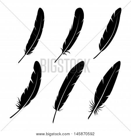 Feathers vector black and white silhouette collection. Feather vector illustration one color. Black vector feathers. Feather isolated on white background. Feather vector illustration set.