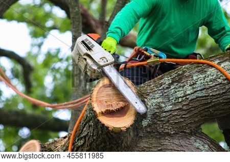 Close Up Of A Tree Removal Professional Sitting In A Tree Using A Chainsaw To Cut Down The Branches.