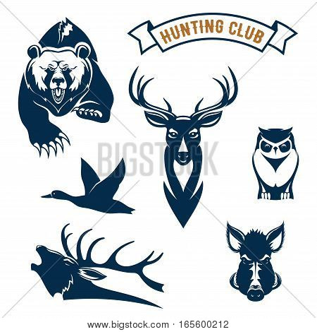 Hunting club icons of hunt wild animals grizzly bear, deer or reindeer, flying duck and elk antler, owl, boar or aper. Vector symbols and ribbon for hunt adventure sport sign, hunter club badges or emblems