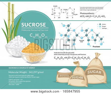 Vector illustration. White and brown sugar cubes in bowls. Structural chemical formula and model of sucrose