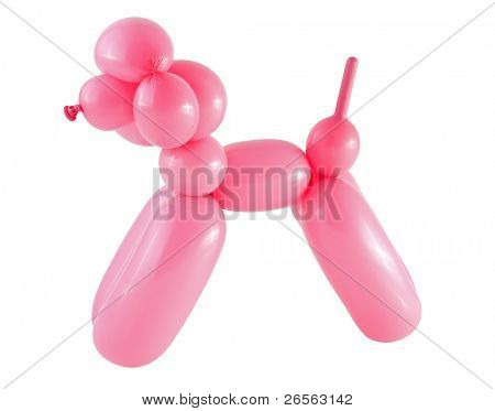 Cane rosa fatta con un palloncino isolated on white