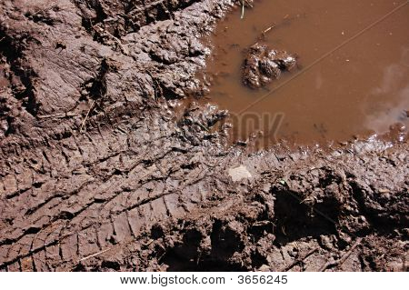 A Muddy Tread Mark