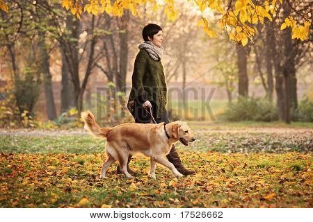 En pige og hendes hund (Labrador retriever) gå i en park i efteråret