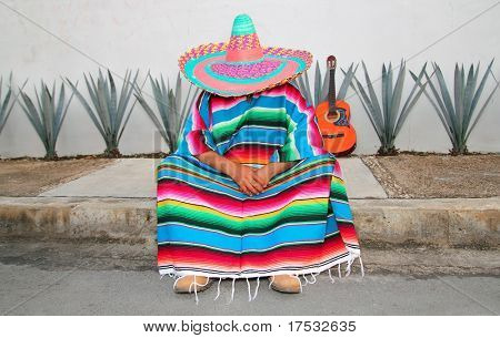 Uomo pigro messicano sedersi argomento tipico di serape agave chitarra nap siesta