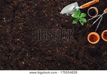 Gardening tools on fertile soil texture background seen from above, top view. Gardening or planting concept. Working in the spring garden.