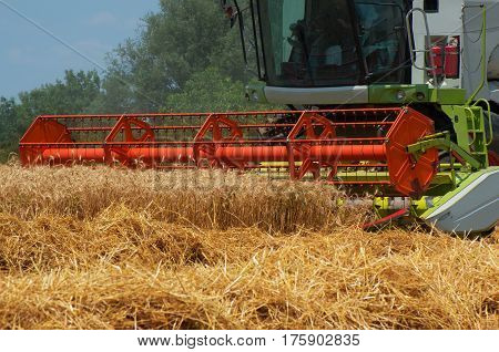 Combine harvester. Harvesting of wheat. Reaper reaps  crops at harvest, when they are ripe.