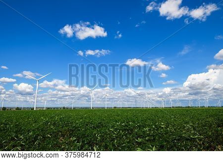 Landscape Of Windmills For Electric Power Production In  Cassava Field On Blue Sky At Huai Bong, Dan