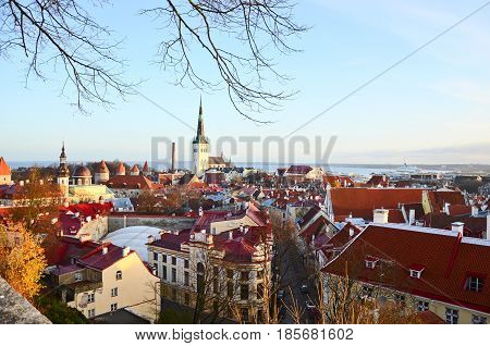 Aerial view on the old town with main central square in Tallin Estonia