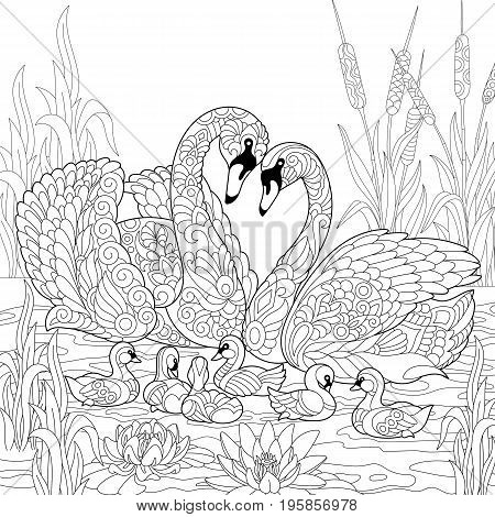 Coloring book page of swan birds family lotus flowers and reed grass. Freehand sketch drawing for adult antistress colouring with doodle and zentangle elements.