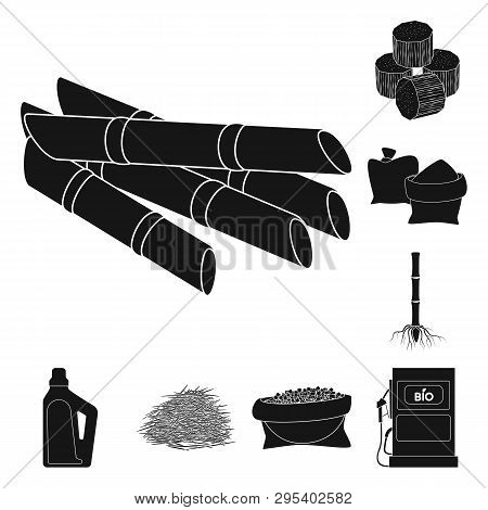 Isolated Object Of Sucrose And Technology Sign. Set Of Sucrose And Cane Stock Vector Illustration.