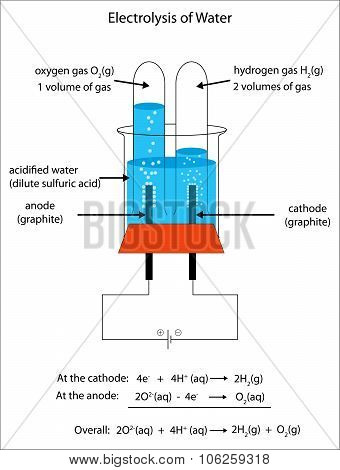 Fully Labeled Diagram Ofr The Electrolysis Of Water To Form Hydrogen And Oxygen.