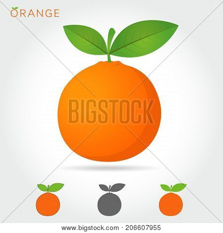 orange icon. orange icon vector. orange icon simple. orange icon app. orange icon web. orange icon logo.orange icon sign. orange icon ui. orange icon flat. orange icon eps. orange icon art