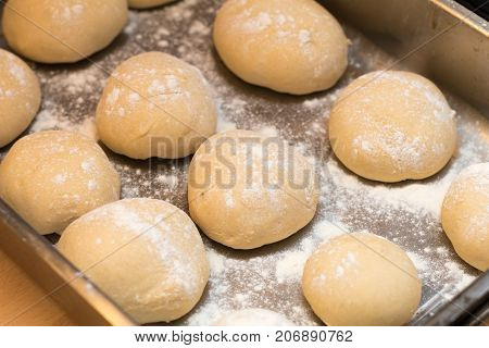 Authentic home kitchen, freshly made white bread rolls proving sprinkled with with flour ready for baking on tray