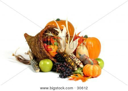 Cornucopia