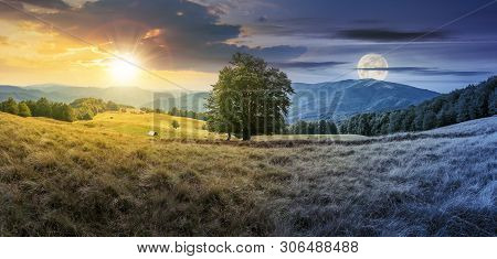 Day And Night Time Change Concept Above The Beech Tree On The Meadow In Mountains. Landscape With Su