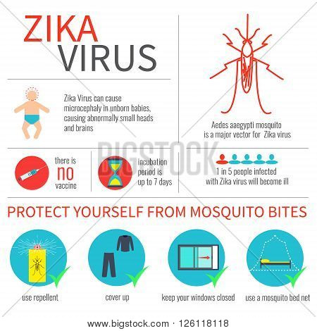 Zika virus infographic elements - prevention, transmission, vaccine, incubation period, microcephaly. Zika virus disease. Infographic zika virus design template. Isolated vector illustration.