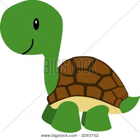 Cartoon Turtle