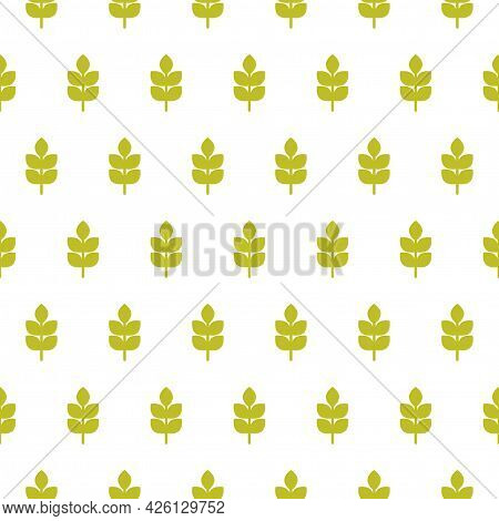 Seamless Pattern With Ears Of Wheat, Barley Or Rye. Natural Gren Ornament On White. Eco Company, Agr