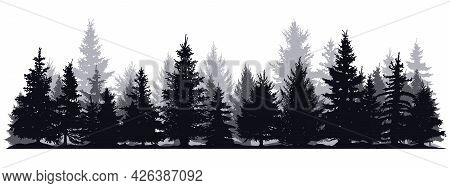 Pine Trees Silhouettes. Evergreen Coniferous Forest Silhouette, Nature Spruce Tree Park View Vector 