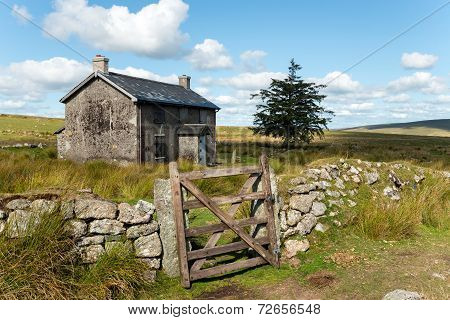 Summer On Dartmoor