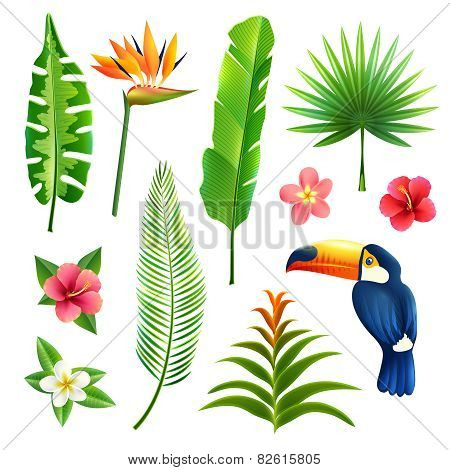 Tropical Leaves Set