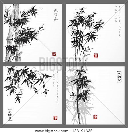 Set of cards with bamboo trees hand drawn with ink on white background. Traditional Japanese ink painting sumi-e.Contains hieroglyphs - eternity, freedom, happiness.