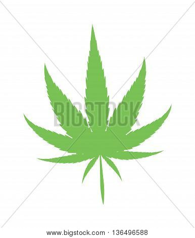 Cannabis marijuana hemp leaf flat icon vector green medicine weed vector herb. Addiction medical narcotic cannabis marijuana leaf. Nature symbol illegal hashish ganja cannabis marijuana leaf.