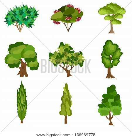 Set of abstract stylized trees. Natural trees vector illustration. Cartoon trees green nature and summer forest green trees collection. Trees leaf green plants and ecology forest oak trees eco branch.