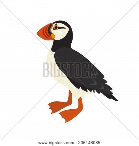 Cartoon Puffin Icon On White Background. Vector Illustration.