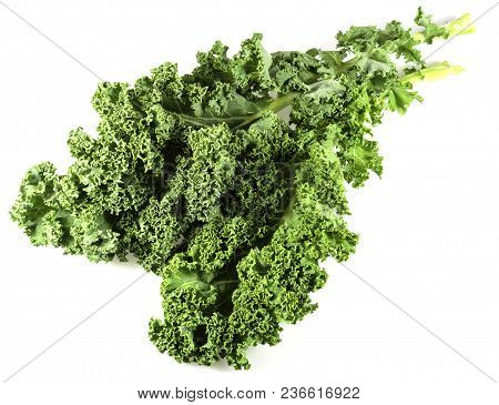 Close-up View Of Kale Leaves. Kale Or Leaf Cabbage Are Cultivars Of Cabbage, Brassica Oleracea, Grow