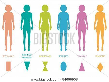 female body types anatomy,